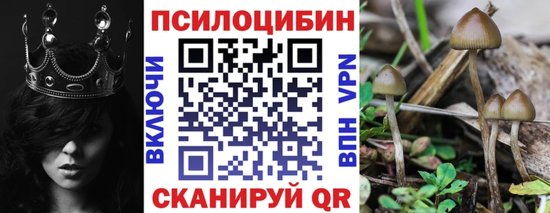 как найти закладки  Никольск  Галлюциногенные грибы Psilocybe 